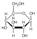 Hidratos de carbono