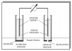 Electrodo ion selectivo