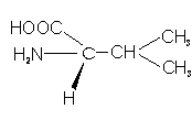 Cadena lateral en aminoácidos La Guía de Química