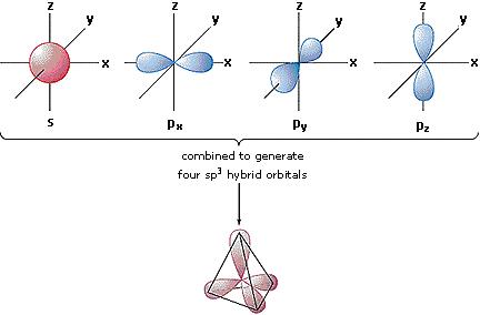 Enlace Pi La Guía de Química